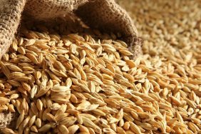 Occupiers steal grain, oil, vegetables and agricultural machinery in Ukraine - Ministry of Agrarian Policy