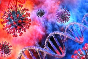 WHO names country obstructing study of COVID-19 origin