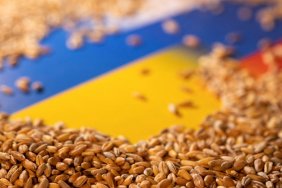 Туреччина візьме участь у вивезенні зерна з України