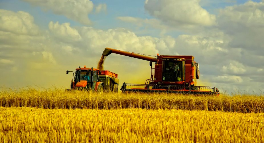 Shmygal told how Ukraine will harvest