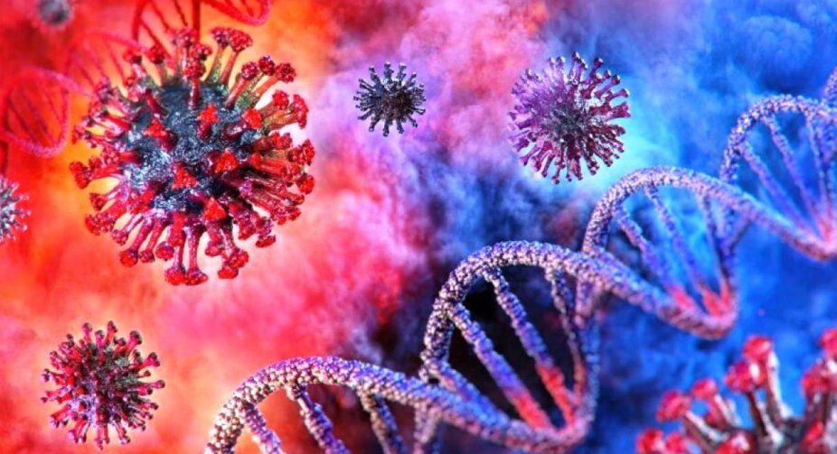 WHO names country obstructing study of COVID-19 origin