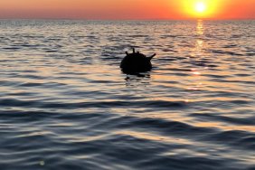 An anchor mine discovered in the Black Sea off the coast of Bulgaria