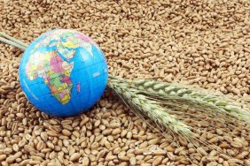 Grain corridor agreement: Ukrainian delegation arrives in Istanbul