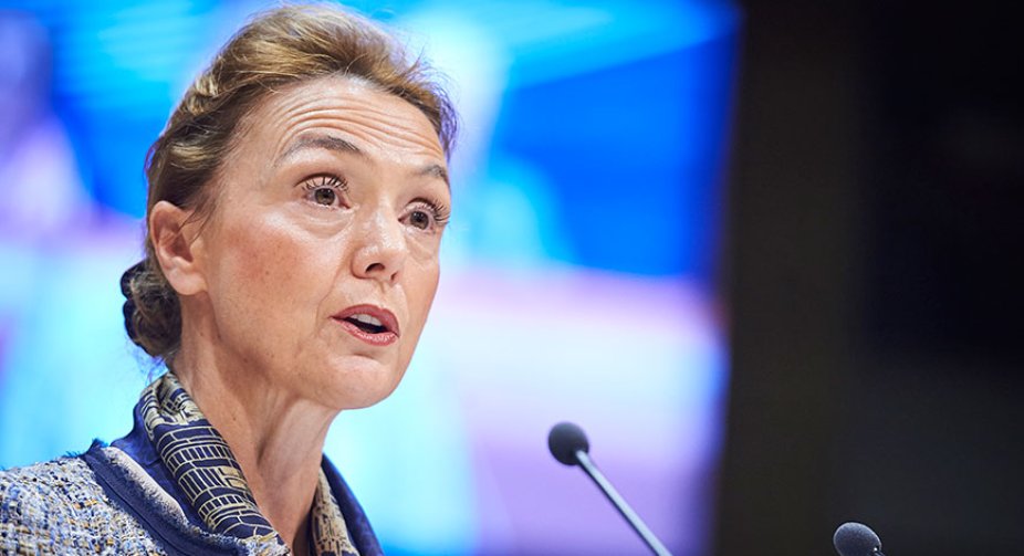 The Secretary General of the Council of Europe will speak at the summit of the Crimean Platform