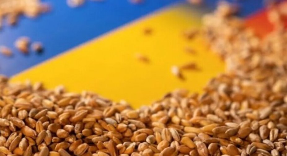 Україна експортувала вже 720 тис. тонн продовольства "зерновим коридором"