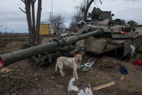 The General Staff of the AFU reports the destruction of about 41,170 occupants