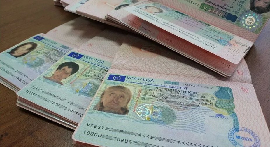 Lithuania called on the EU to cancel the visas of Russians