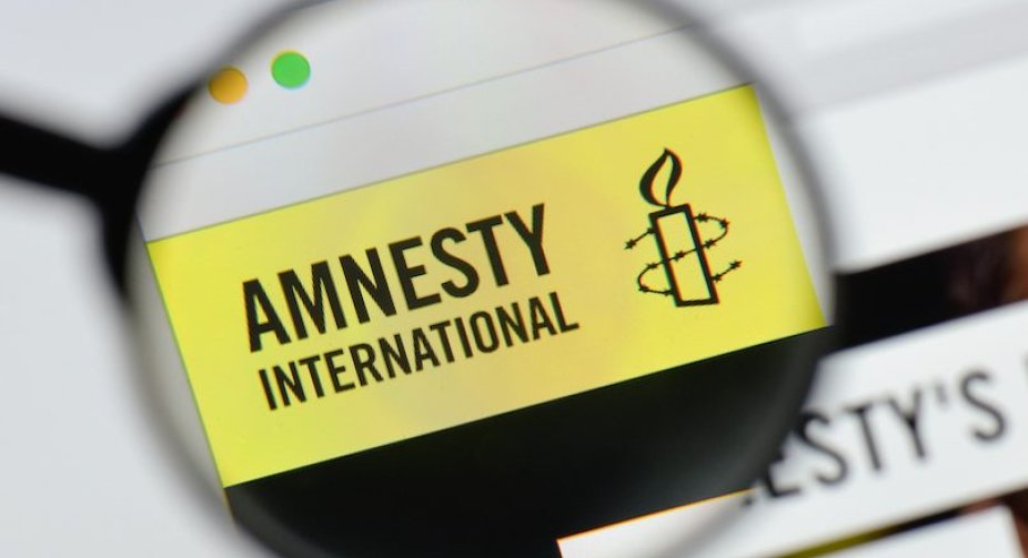 Україна має заборонити роботу Amnesty International на нашій території – український політолог про звіт Amnesty International