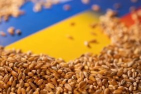 Україна експортувала вже 720 тис. тонн продовольства "зерновим коридором"