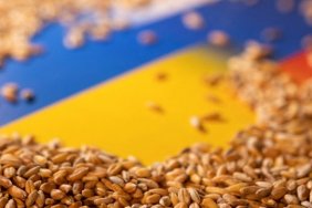 Ukraine spoke about the geography of exports through the "grain corridor": Africa accounts for 27% of wheat