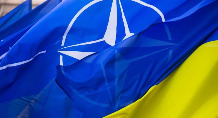 Українська армія є сумісною з НАТО, але потрібна реформа оборонних механізмів – посол Британії
