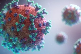 COVID is on the decline: new cases decreased by 3% in a week