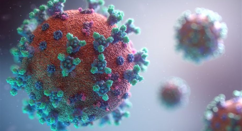 COVID is on the decline: new cases decreased by 3% in a week