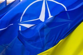 Українська армія є сумісною з НАТО, але потрібна реформа оборонних механізмів – посол Британії