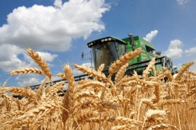 Ukrainian farmers in 2022 provided the country with more than $20 billion in foreign exchange revenue - Minister Solskyi