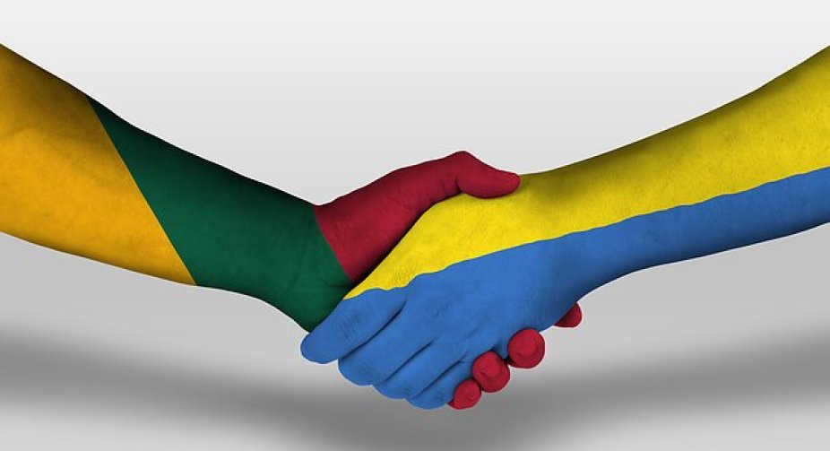 Lithuania hands over 36 anti-aircraft guns to Ukraine, which will be effective against the Shaheds