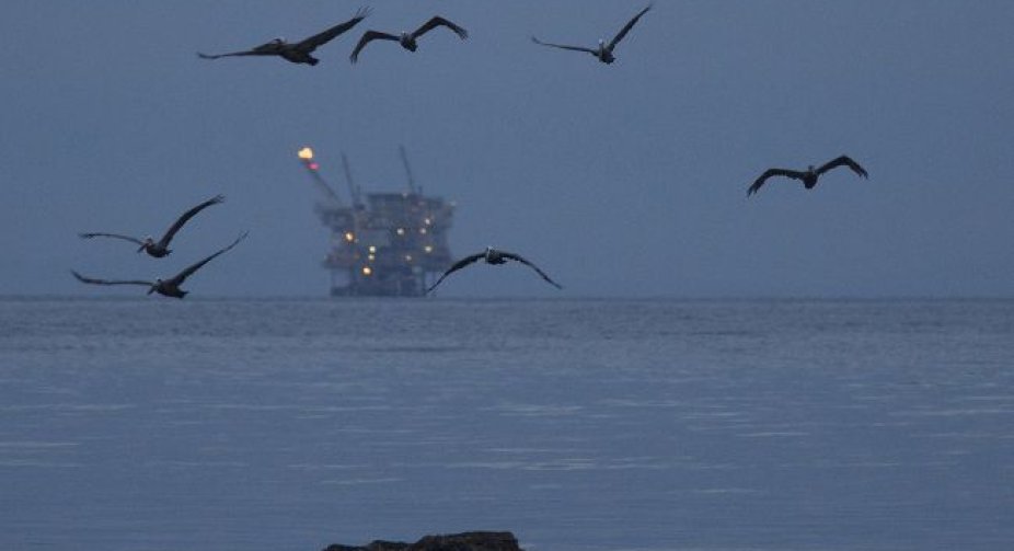 Нафта дорожчає після падіння до місячного мінімуму: що вплинуло на світові ціни