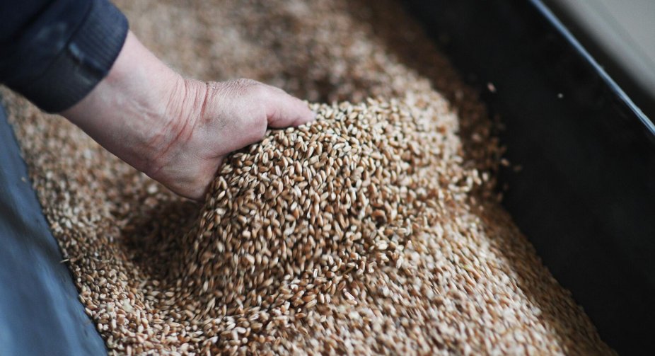 Meeting at the border: Ministers of Ukraine and Poland will try to solve the grain problem