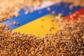 Negotiations on the "grain agreement" have begun in Turkey