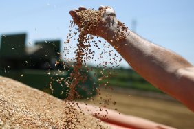 Five EU countries plan to extend ban on Ukrainian agricultural products - Politico