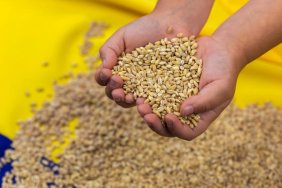 Ukraine has introduced licensing for grain exports to Eastern Europe and is awaiting approval