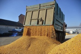 Польща, Угорщина та Словаччина відмовляються брати участь у координаційній платформі з українського зерна