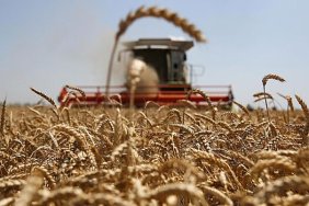 Україна подає позови до СОТ проти Польщі, Словаччини та Угорщини через заборону імпорту зерна