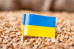 Україна буде судитися з європейськими сусідами через заборону імпорту, - Bloomberg