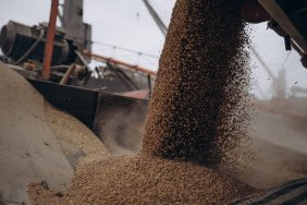 Україна та країни ЄС планують зустріч для вирішення "зернової" проблеми