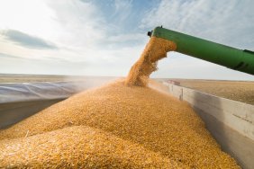 The UN is negotiating with Russian authorities to restore the grain deal: details of the proposal
