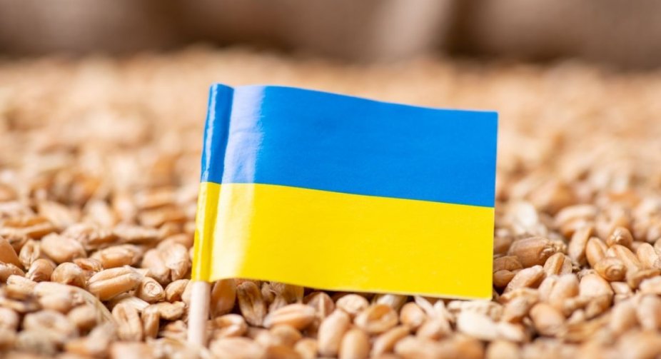 Україна буде судитися з європейськими сусідами через заборону імпорту, - Bloomberg