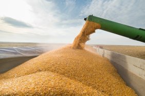 Польща готова блокувати вступ України до Євросоюзу через експорт зерна