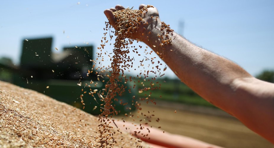 Five EU countries plan to extend ban on Ukrainian agricultural products - Politico