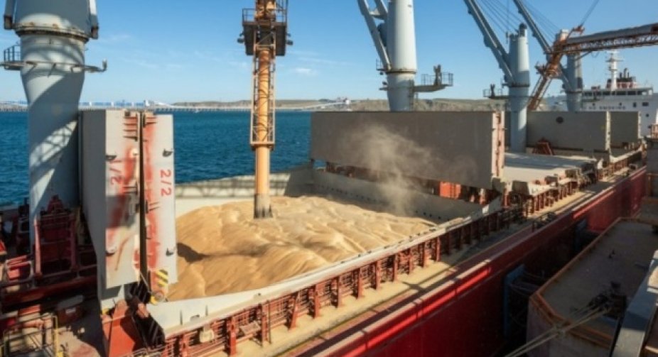 Ukraine offers Turkey to restore the "grain corridor" without Russia's participation