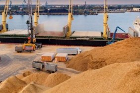 Croatia has been exporting Ukrainian grain through the port of Rijeka for over a year
