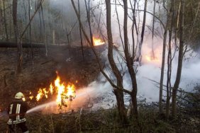 Трагедія на Івано-Франківщині: Двоє постраждалих померли після вибуху на нафтопроводі