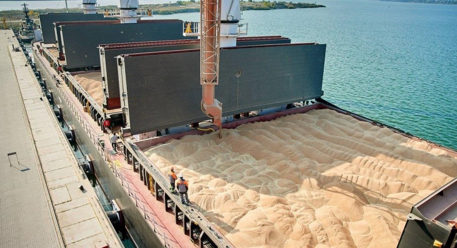 Officials block the movement of ships through the sea corridor for grain exports - UGA