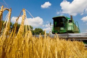 Розширення експортного потенціалу: на Закарпатті планують створення «сухого порту» для зерна до ЄС