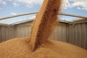 Government changed rules for exporting agricultural products under martial law