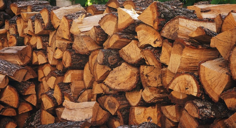 Ukraine launches a project to support people in buying firewood