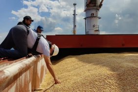  Румунські фермери закликають владу впровадити заходи щодо імпорту сільгосппродукції з України