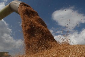 Poland will maintain embargo on imports of Ukrainian grain