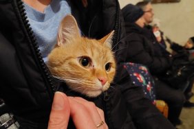 Ukrainians are allowed to take pets to shelters during the alert