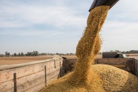 Latvia wants to propose to the EU to ban imports and transit of Russian grain