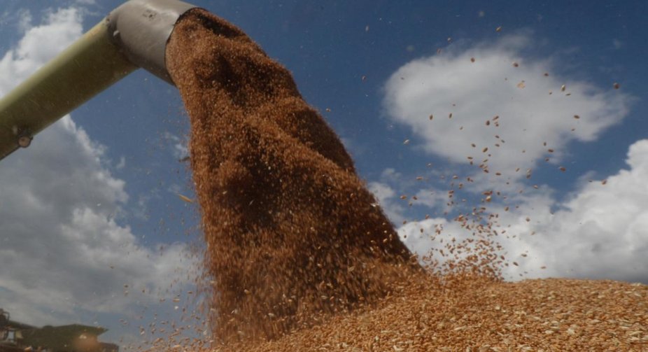 Poland will maintain embargo on imports of Ukrainian grain
