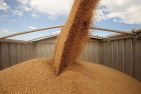 Five EU countries demand that the European Commission return duties on Ukrainian grain