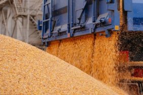 Польща заявила про фінальну стадію переговорів щодо імпорту агропродукції з України