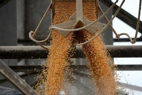 Ukraine has compensated for the loss of the "grain corridor" and increased exports via the Black Sea, - NBU
