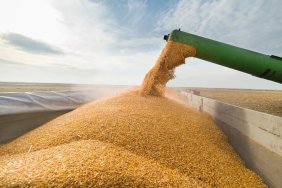 Poland plans to check all Ukrainian grain that transits its borders