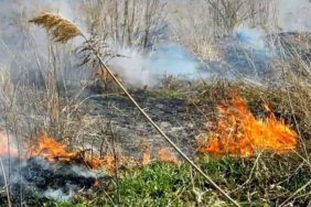 Russian troops use drones with incendiary mixture in Chernihiv region